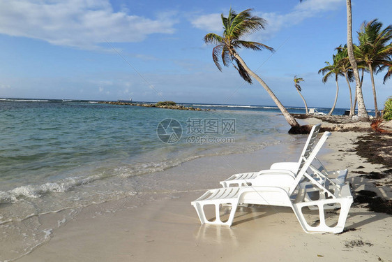 蓝海棕榈树和海滩沙座象征岛屿天堂成图片