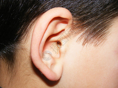 听力和耳聋图片