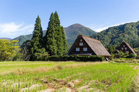 日本历史村落白川乡图片