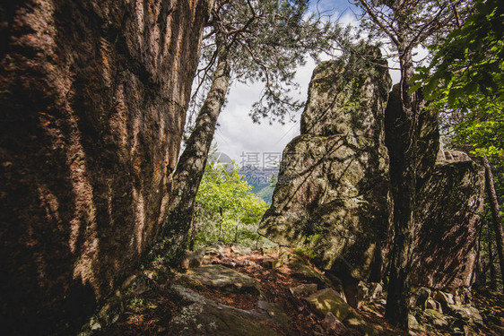 在意大利阿尔卑斯山的雨天岩石进入森林图片