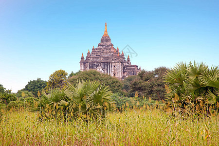 缅甸巴甘Bagan地图片