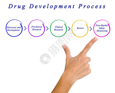 药物开发流程示意图图片