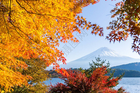 富士山和河口湖图片