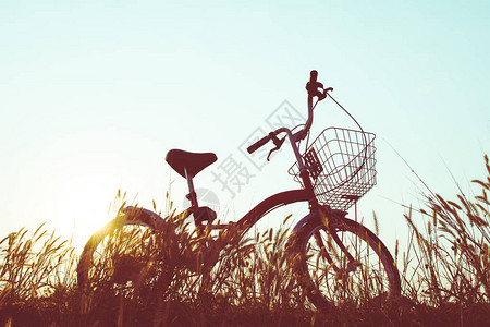在草地上骑自行车的休眠月图片