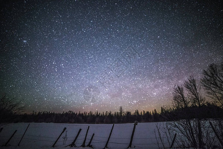 夜晚的乡村景观树木和星和雪图片