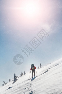 雪暴和风雪在极端冬季图片