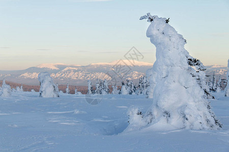 山间有白雪覆盖的树木冬天的风景图片