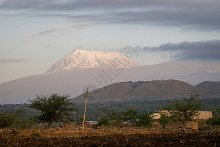 非洲屋顶乞利马扎罗基博山从肯图片