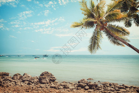 夏季带棕榈树的热带古沙滩海景图片