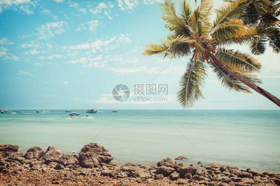 夏季带棕榈树的热带古沙滩海景图片