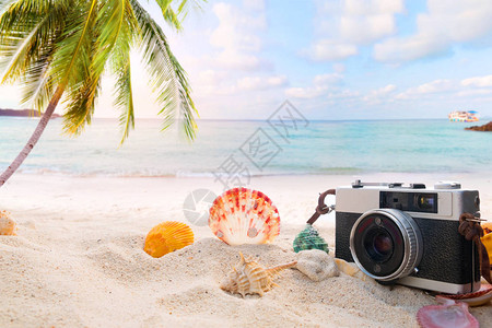 沙洲上的复古相机与海星贝壳沙洲上的珊瑚和模糊的海洋背景图片