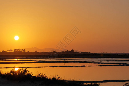 西里岛马尔萨拉盐田的日落图片