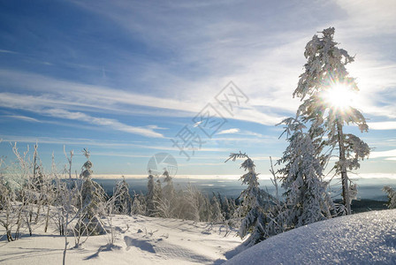 哈茨山冬季景观图片