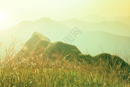 山上的黎明山上的草地有阳光新图片