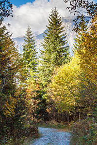 山中风景如画的秋天森林图片