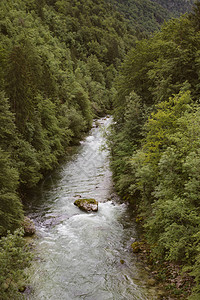 跨越森林的山河斯洛文图片