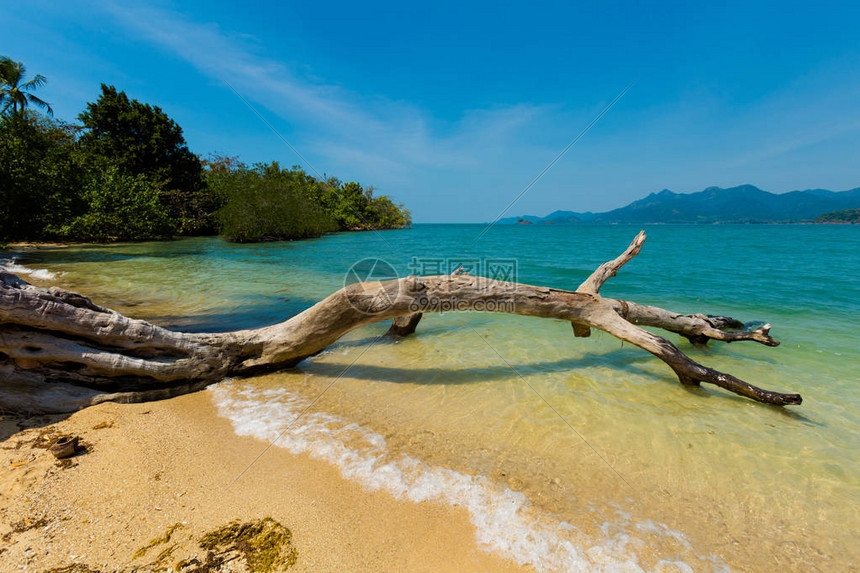 泰国高昌附近偏远热带岛屿的夏季风景和落树图片