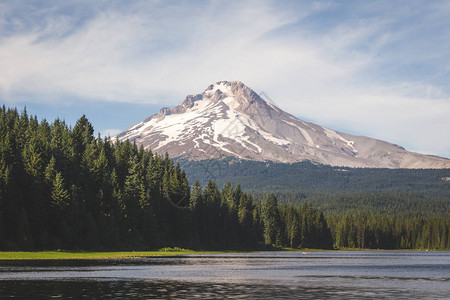 远处有一座大山的景象森林环绕着浅地图片