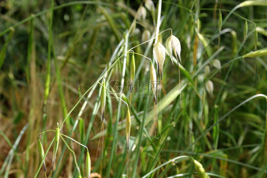 保护我们星球的指南