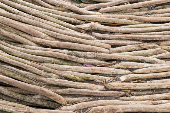 干树枝天然木材背景图片