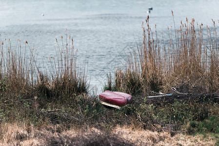 加拿大的湖岸独木舟在图片