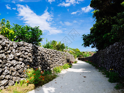 竹富岛的街道图片