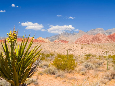 在红岩沙漠周围的浅蓝色天空下远处著名的斑纹山丘红色背景图片