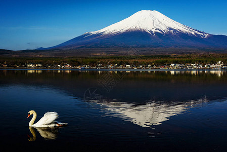 欣赏日本山梨县富士山的景色图片