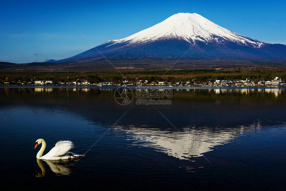 欣赏日本山梨县富士山的景色图片