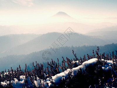 公园悬崖上满是棕榈树的红墨中的白雪山地乡下图片