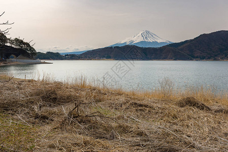 夏天从河口湖出发的富士山图片