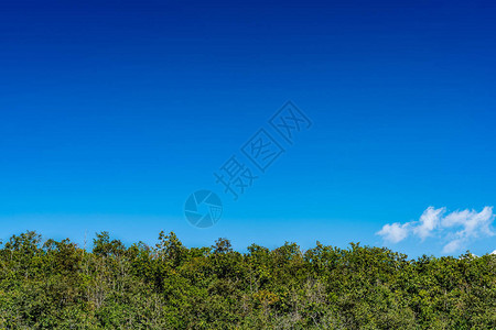 蓝天白云与绿色热带森林图片