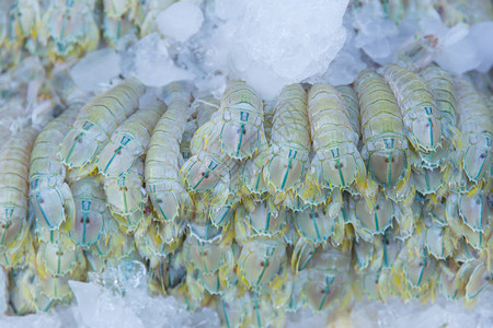 海产食品销售市场销售中从海上新鲜出海的虾小龙虾或鳄图片