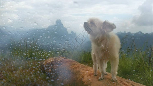 雨水双重曝光后图片