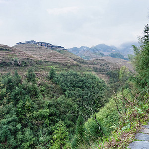 春季在长正水田DragonsBackbone梯田Longji水田地区Dazhai村阳背景图片