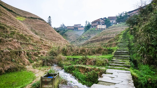 到旅游春季前往大寨龙胜梯田背景图片