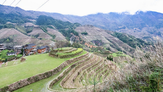 到旅游从大寨龙胜梯田图片