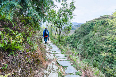 春天在大寨国龙胜梯田背景图片