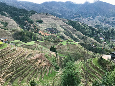 去旅行从春天的龙胜梯田龙脊梯田七星追月的角度看大寨国图片