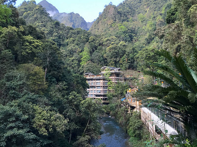 到旅游春季象山区江底村龙胜温泉森林公园杂草丛生的山丘上的河背景图片