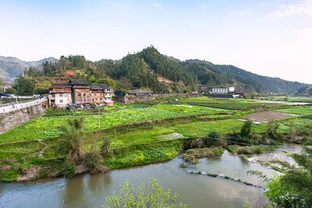 到旅游春季三江侗族自治县城阳村河边花园稻图片