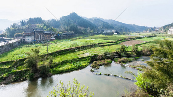 游三江侗族自治县城阳村河边花园稻田茶园春日清晨图片