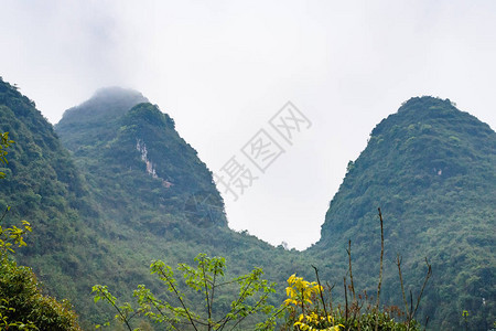 前往旅游春季长水县绿图片