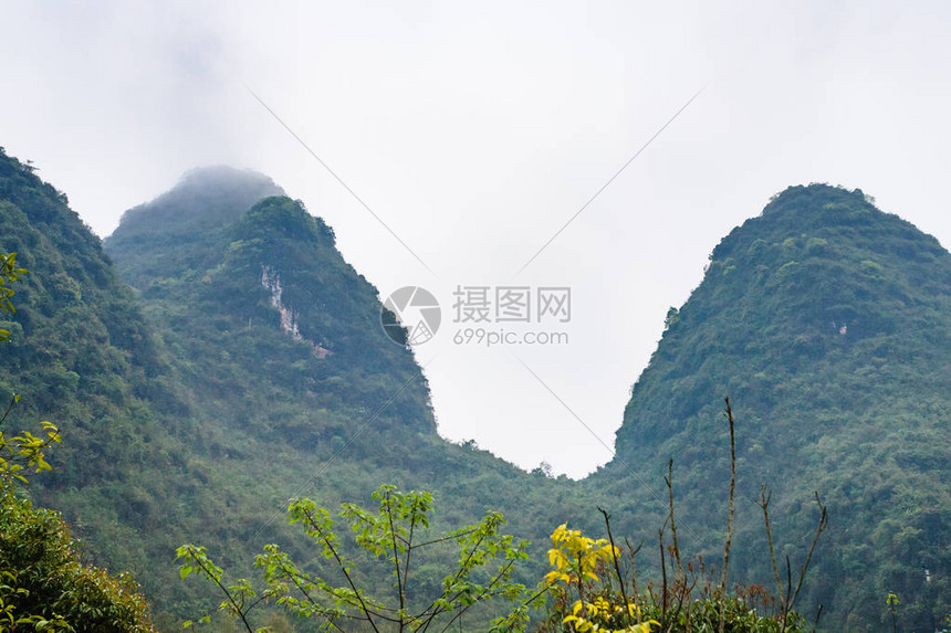 前往旅游春季长水县绿图片