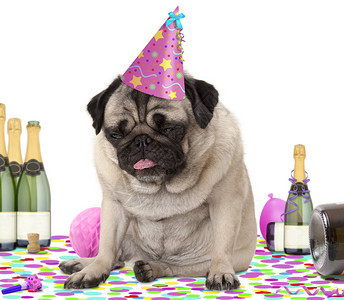 戴着派对帽坐在五彩纸屑上厌倦和喝醉了香槟厌倦了聚会被图片