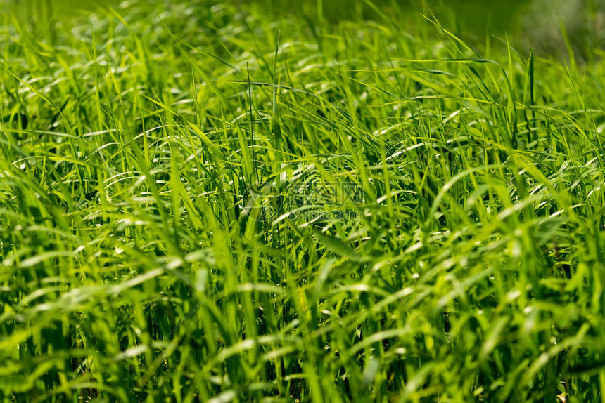 绿军铁血防守硬碰勇士三分狂潮