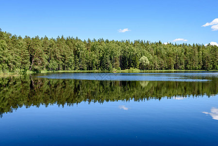 蓝天上的白云在森林湖上的倒影图片