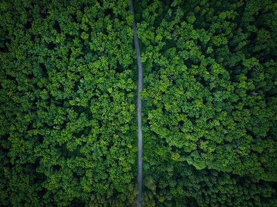 公路穿过森林查看从高空航拍照片图片