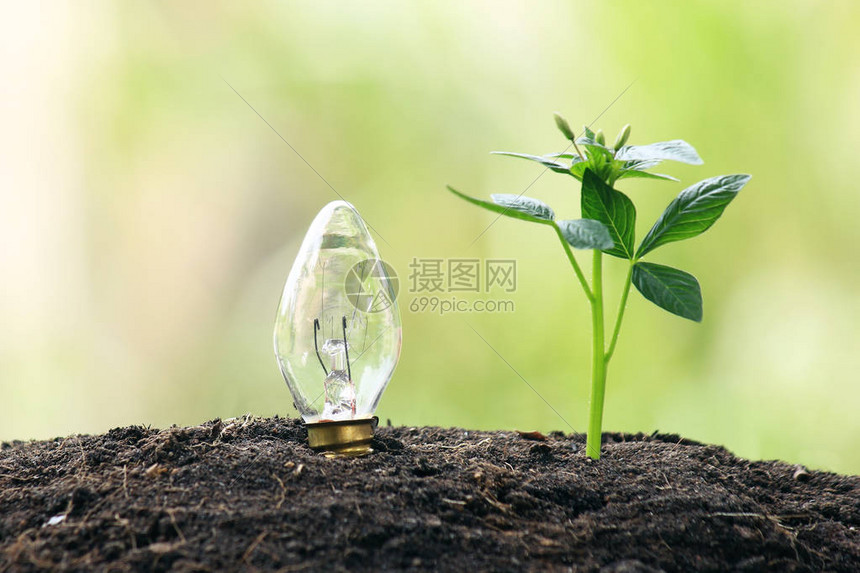 可再生能源概念生物能源图片
