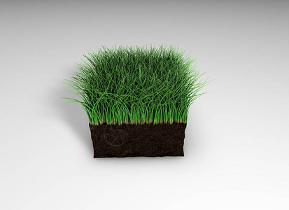 3D投影草坪原3D插图地盘运动场景观美化和广告图片